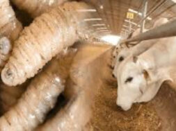 A8BBE926-EE00-41CF-9D00-B2C97777312B