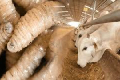 A8BBE926-EE00-41CF-9D00-B2C97777312B