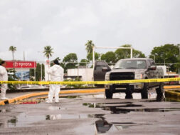 C41C03C1-AB32-4978-A876-2A71A99DF0AA