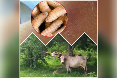 CA607BC1-59E4-4DB3-8ED6-E018C97D12FD