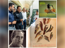 CA66A4C7-2DE2-409A-B34D-3D489E71C98C