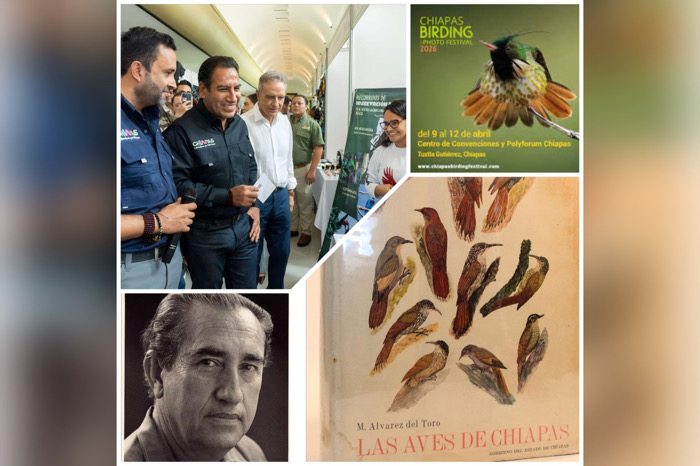 Aviturismo / A Estribor