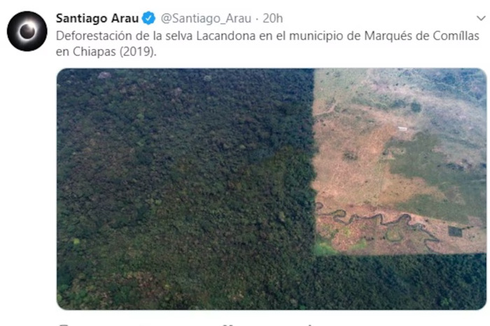 Reportan más de 5 mil hectáreas afectadas por la deforestación
