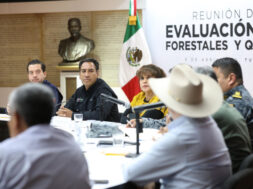 D7216247-2B5B-4D1E-A4FE-F3BFFDC1F29B