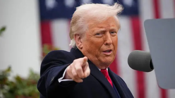 ¿Estamos? / La Feria