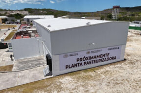 F5637A81-784C-4116-8754-AD6065FE5AE7