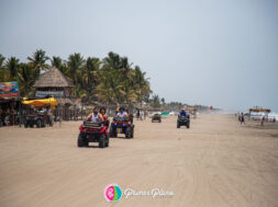 F9B7C1B4-ED80-49D3-9F04-5F3BDA1E2CB4