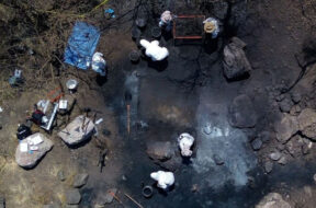 FE92E60C-66E1-4138-8C13-4270AA0F1BE8