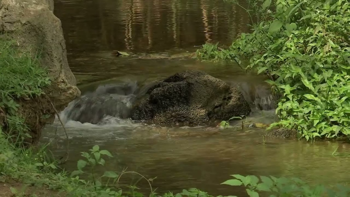 Xallapan: manantial en la arena