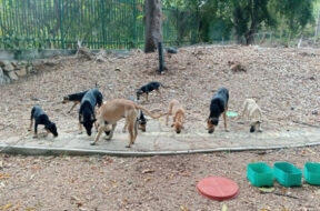 03A16AB8-6C38-4D7A-A7E0-0844A2AE5B85