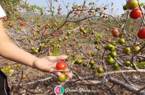 10F8EAD2-C1B5-4A77-BDC9-BACF26333A28