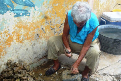 17CB1E66-36F6-4F6F-B351-0E712DC47D2E