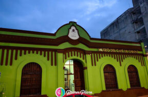 1AA31C4D-6804-4524-AB75-288D3013C303