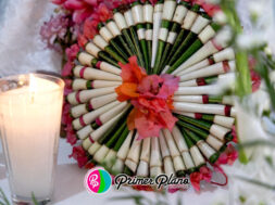 1BADE4F3-5047-485D-AF1F-14EB21772DE0