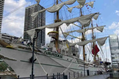 1BB345C0-7AE9-4E10-8B2D-D773A0248F5B