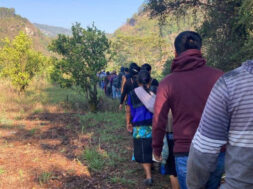 2BDD20B6-1C7F-4073-804E-88F0C0C4DB17