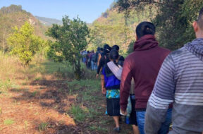 2BDD20B6-1C7F-4073-804E-88F0C0C4DB17