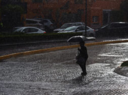 2E65D7A4-599F-40BC-A7D6-282FE7FB8FB9