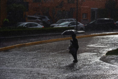 2E65D7A4-599F-40BC-A7D6-282FE7FB8FB9