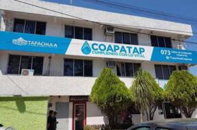 31590436-10ED-4E7F-BEA0-676354691DFA