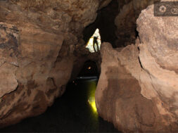 4B78AA69-730C-4F51-8700-D13F6CA75479