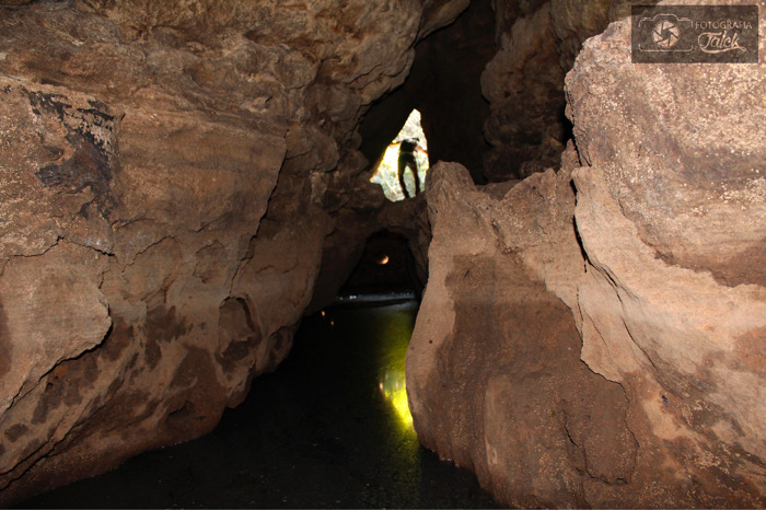 Las pancartas del 132 / Crónicas de Frontera