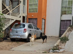 5CDD0045-95A5-462C-8ACE-9C1B7FC445CB