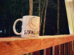 602438C9-CA72-4EC5-A051-A72DA2CB8435