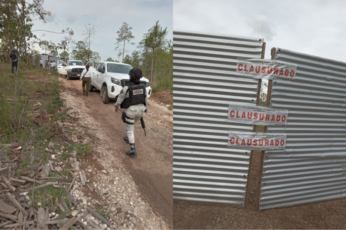 Aseguran aserraderos en las localidades en Altamirano