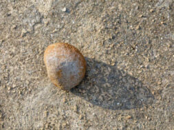 7118EC2D-BD52-46C0-8E73-5556C2E1A319