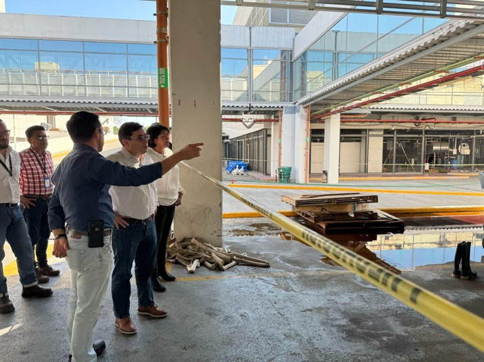 Fracasa control sanitario contra gusano barrenador