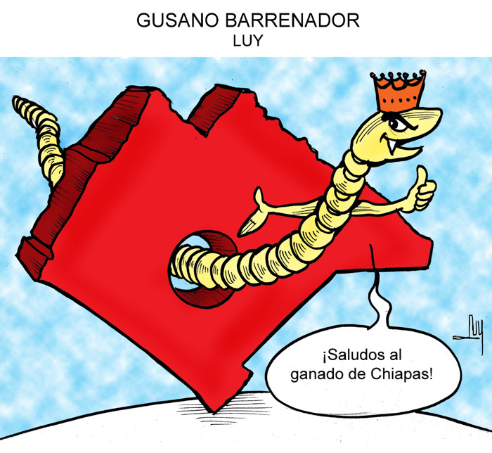 Colaboración de LUY