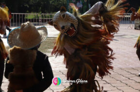 8827F3C6-4B96-4D7F-80EC-C4FB1E289930