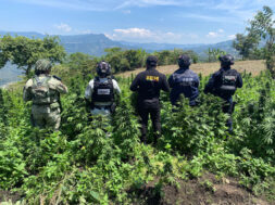 90BAD3CB-A505-48D5-932D-31735F51630D