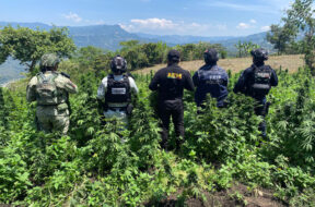 90BAD3CB-A505-48D5-932D-31735F51630D