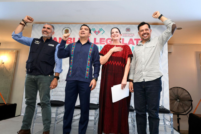 Seguiré legislando con vocación humanista: María Mandiola