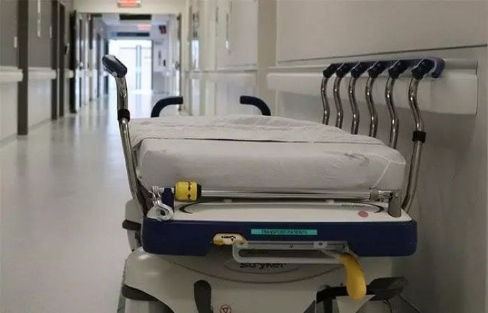 Autoridades confirman cuatro casos humanos de gusano barrenador