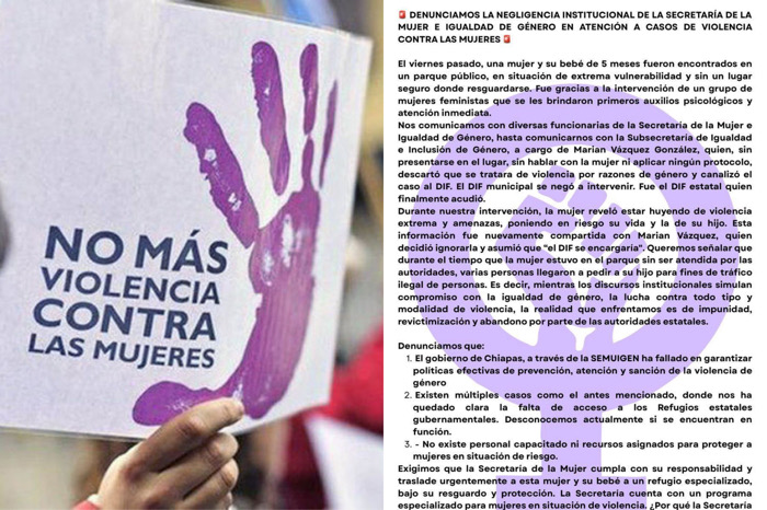 Negligencia institucional en atención a mujeres víctimas de violencia en Tuxtla