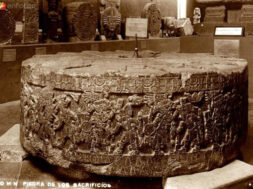 B3CC35E1-D46F-406D-8B31-D236B0242DB4