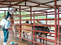 CC8F83DA-ED72-4A07-9316-DB71677F6E23