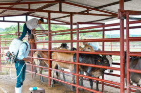 CC8F83DA-ED72-4A07-9316-DB71677F6E23