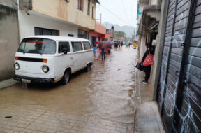 DB898E76-1235-4019-8612-C63103432C1E