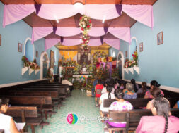 E606D40E-8682-418C-9EC3-B792C94FBC56