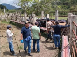 E84317BB-CC44-4AD9-8425-721412691B47