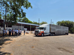 F13FD49F-CF1F-4E95-B3F1-4CBFE29E4F40