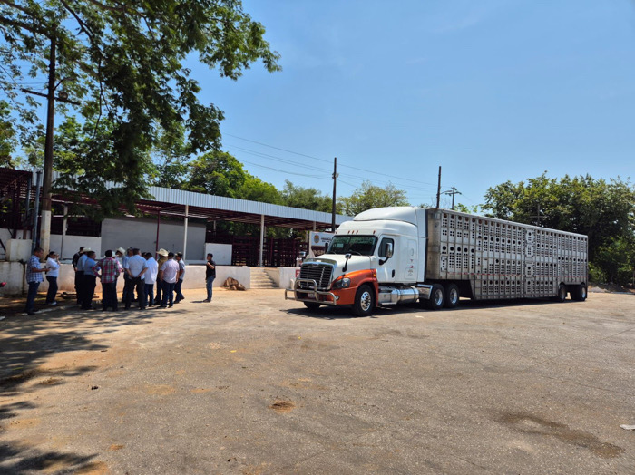 Se refuerzan disposiciones para control sanitario en la movilización de ganado en el sur del país: SAGyP