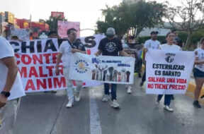 F226CCBD-6ABA-416E-AC70-038C4408E1D9