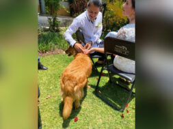 FA55129E-08FF-46B1-85A8-D51284DB6BE6