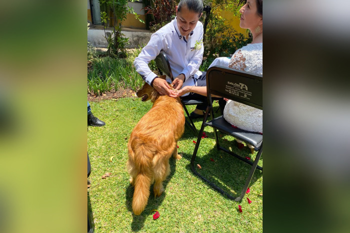 Adoptar un perro es cuestión de amor / Al Sur con Montalvo