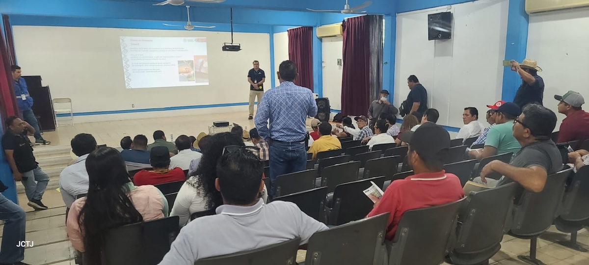 Crisis del Gusano Barrenador en Tonalá: un enemigo silencioso frente a un sistema de salud en ruinas